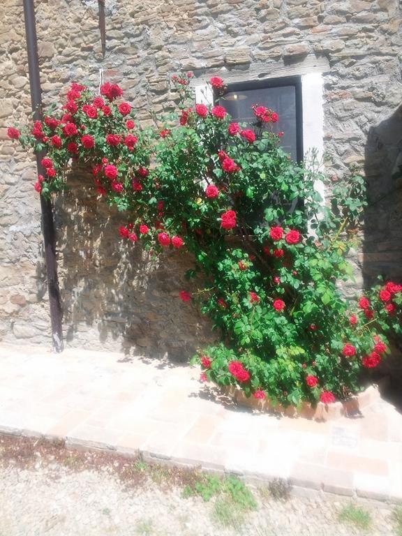 Agriturismo Mirasole Predappio Dış mekan fotoğraf